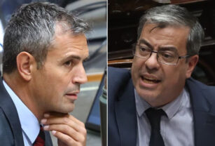 german martinez martin menem diputados