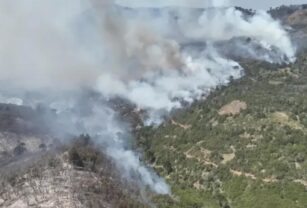 incendios en neuquen
