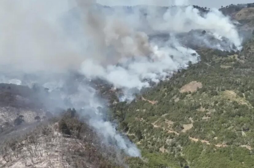 incendios en neuquen