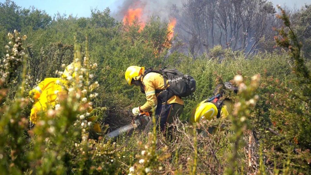 incendios en neuquen
