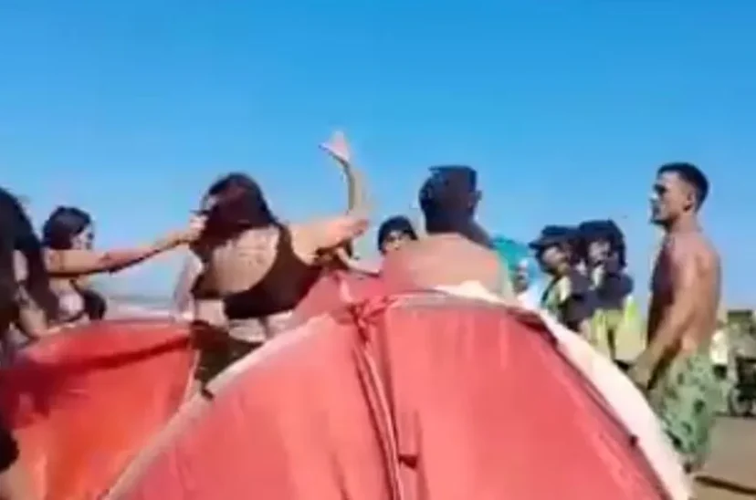 santa teresita pelea