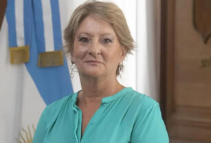 subsecretaria de ambiente ana lamas