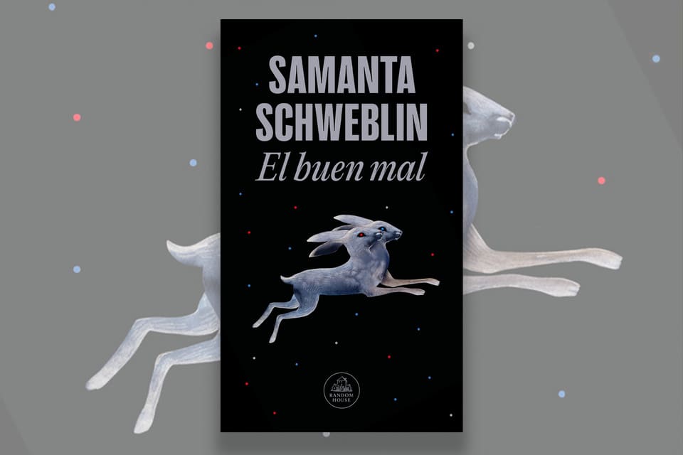 Feria del Libro Samanta Schweblin