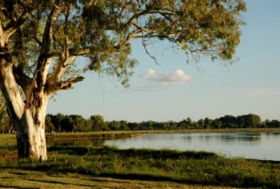 Reserva Natural Laguna de San Vicente escapada