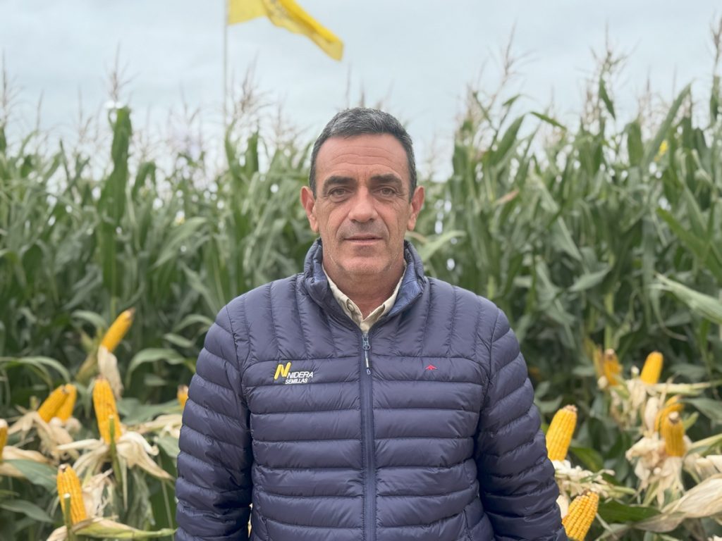 Pablo Colomar, gerente comercial de Nidera Semillas chicharrita