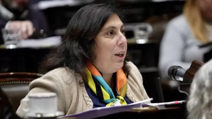 paula oliveto coalición cívica