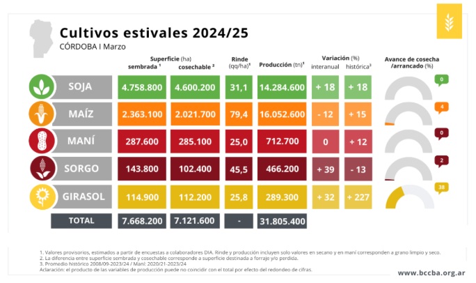 córdoba producción grano grueso