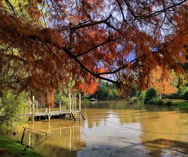 Delta del Paraná