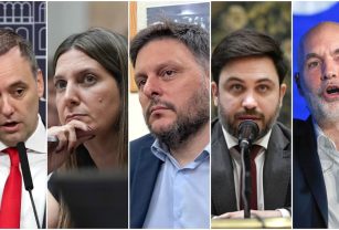 elecciones 2025 legisladores