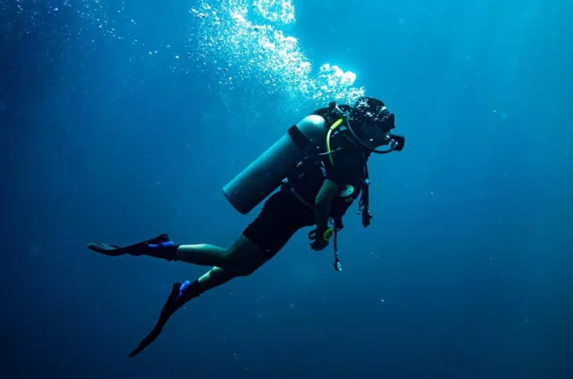 buceo