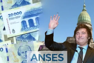 milei anuncio anses