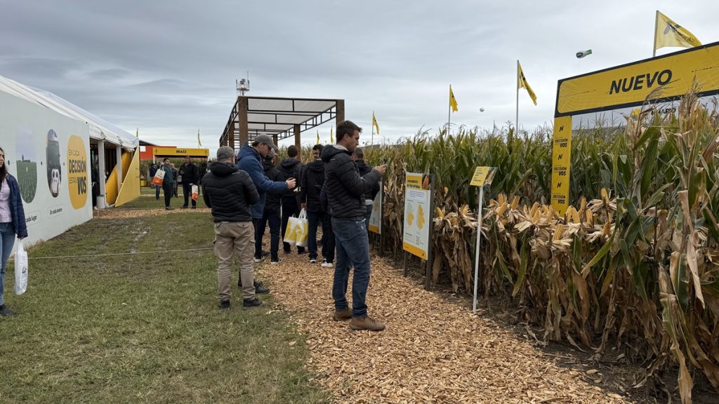 stand nidera expoagro chicharrita maíz lanzamiento