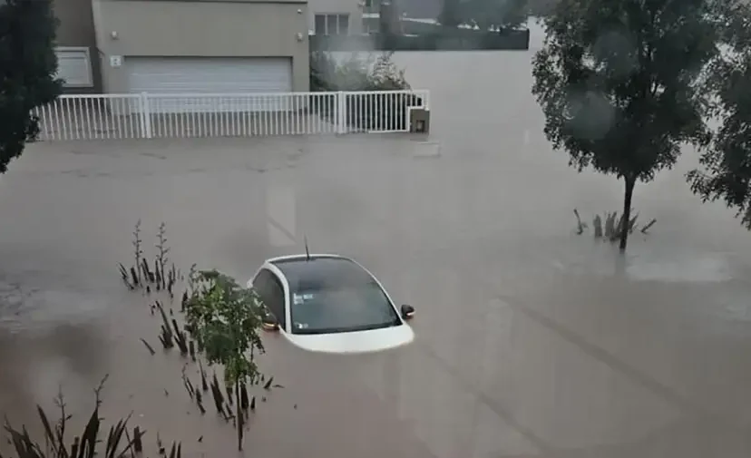 temporal bahía blanca