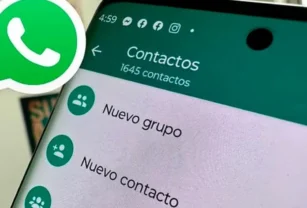 whatsapp agenda