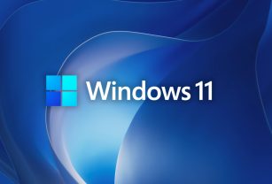 windows 11