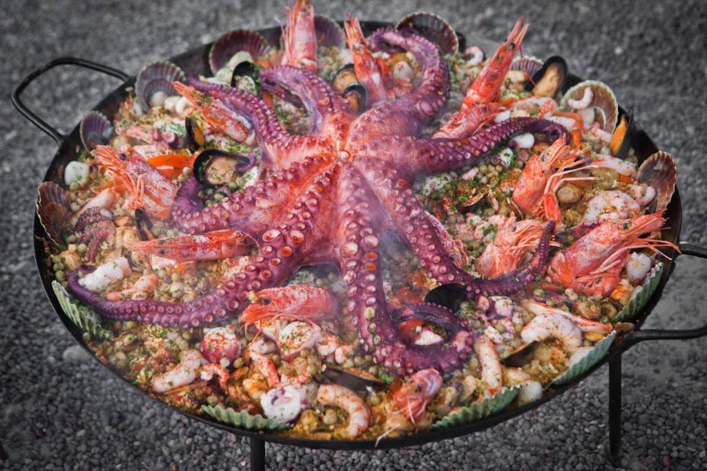 pulpo