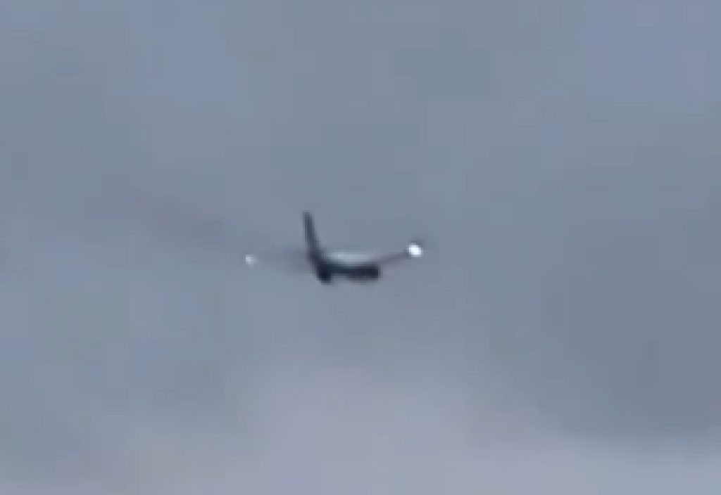 avion conejo
