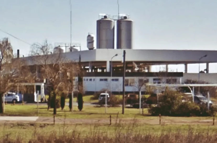 Danone - empleo