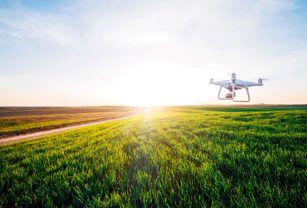 dron nutrición agricultura de precisión