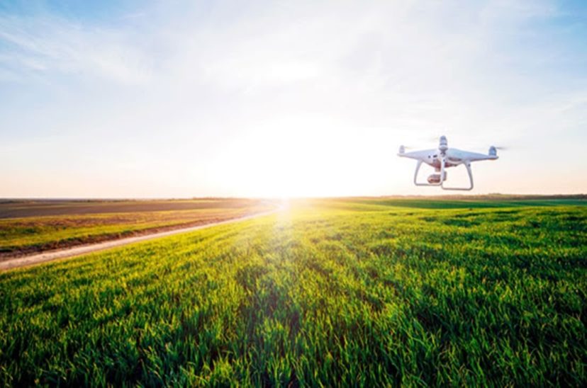 dron nutrición agricultura de precisión