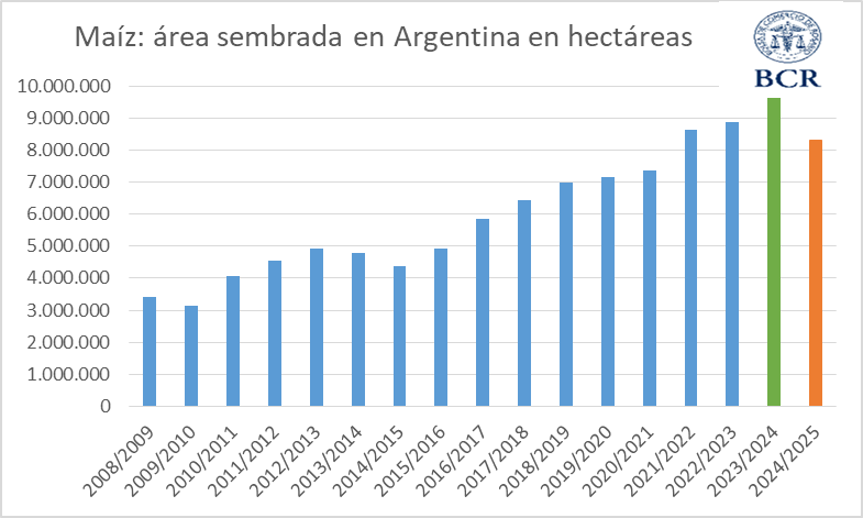 maíz siembra 2024-25