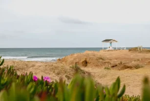 Mar del Sur - escapada