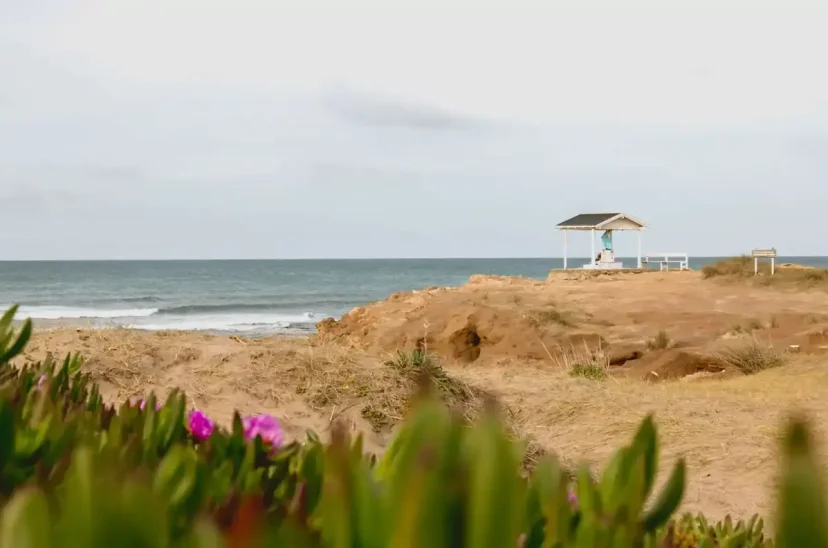 Mar del Sur - escapada