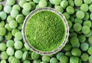 Superalimento - microalgas