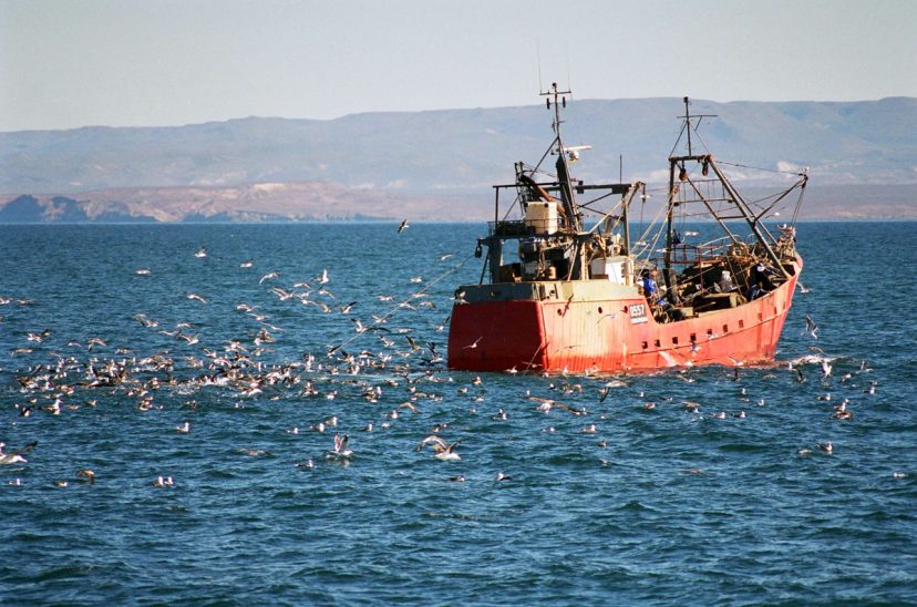 pesquero