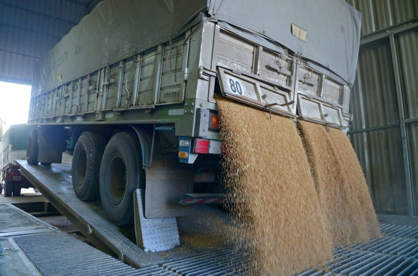 ruca granos transporte