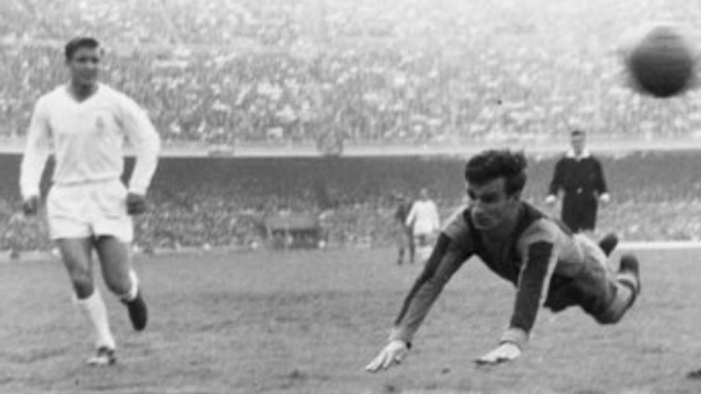 sandor kocsis cabeza de oro