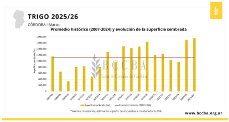 trigo córdoba 2025-26