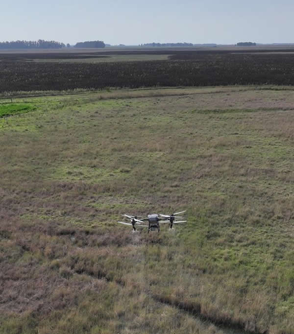 dron nutrición agricultura de precisión 2