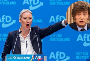 Weidel Alemania nazi Milei