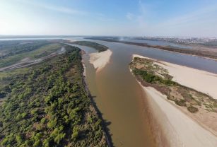 biodiversidad