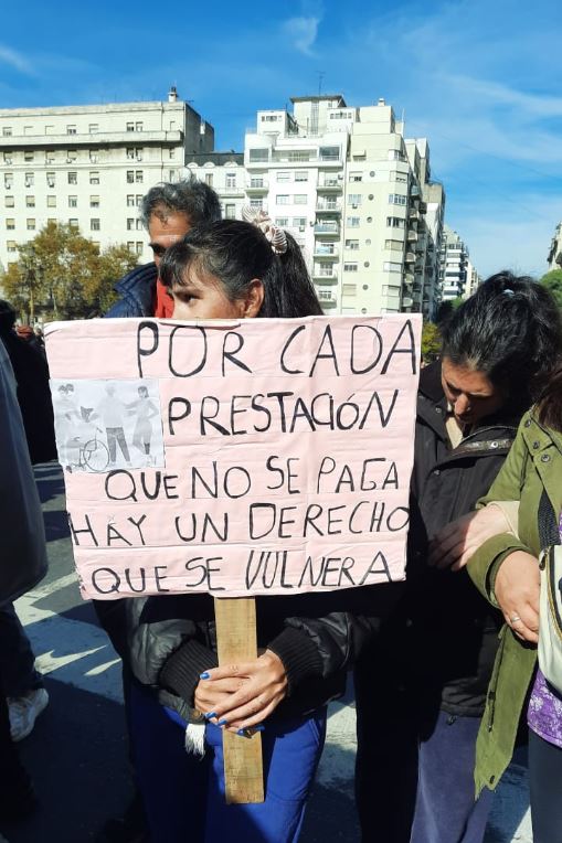 discapacidad veto milei