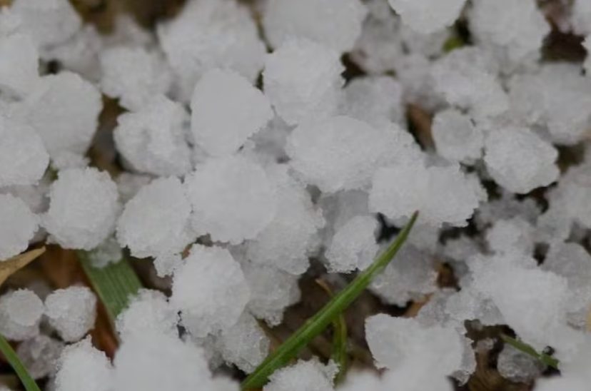 graupel ola polar