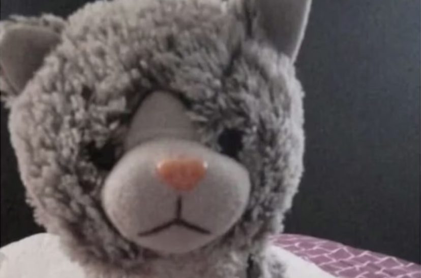 peluche nene con autismo