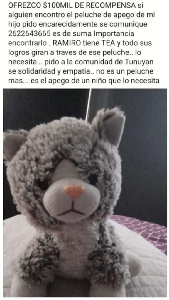 peluche nene con autismo