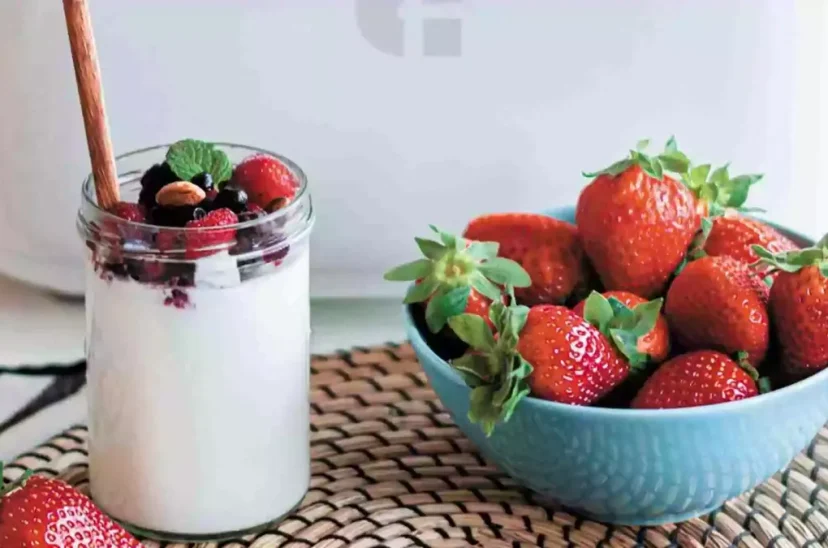 Yogur casero receta