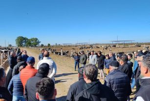 Feedlot Cooperativo