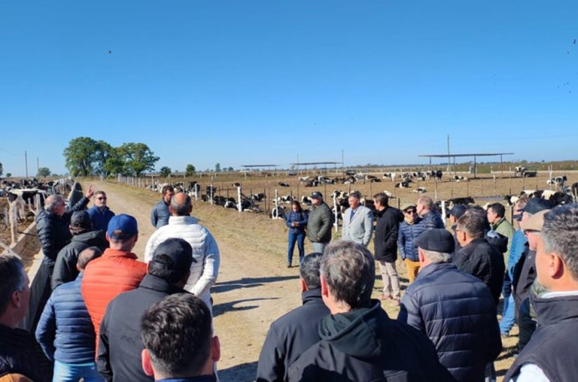Feedlot Cooperativo