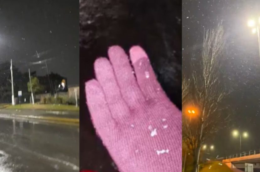 nieve conurbano