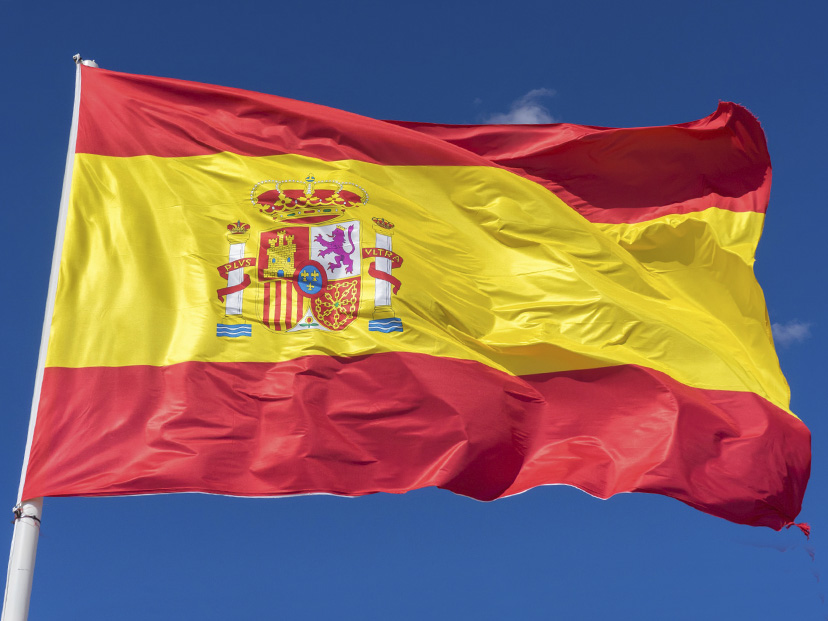 españa psoe pedro sánchez