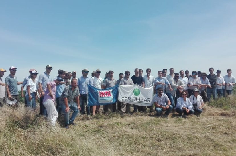 fertilizar inta