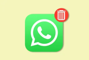 WhatsApp, papelera