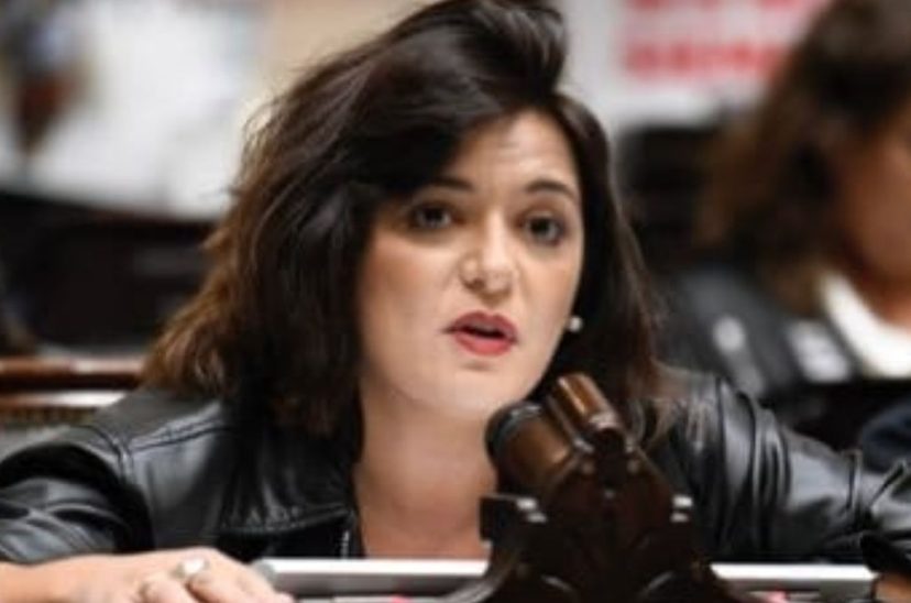 diputada Sabrina Selva
