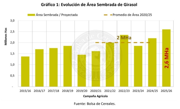girasol siembra