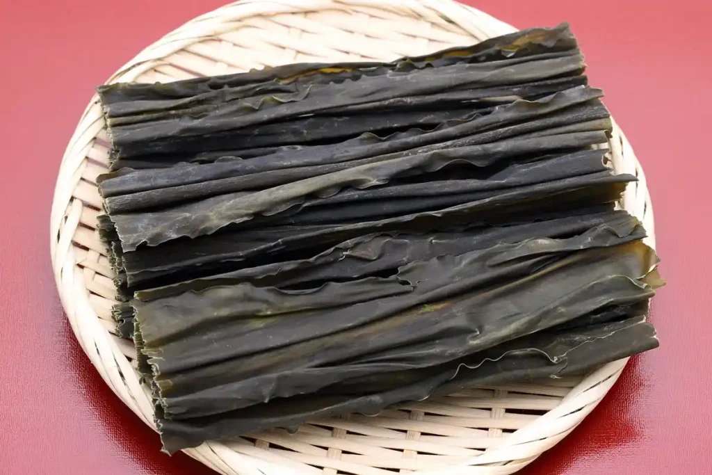 alga kombu