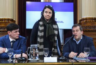 senado kirchnerismo